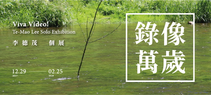 1/10(Wed)3pm Introduction of Viva Video! Te-Mao Lee Solo Exhibition