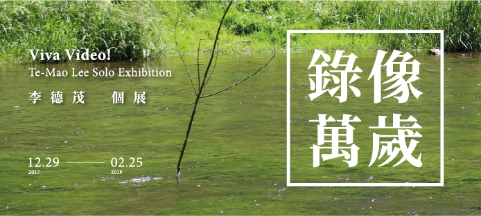 Viva Video! Te-Mao Lee Solo Exhibition