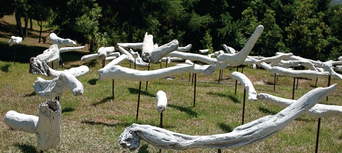 Driftwood Sculpture Festival